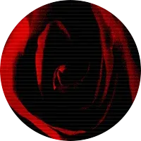 Wars of the Roses, 1455